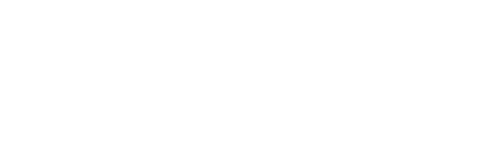 Orderly Organizing White Logo